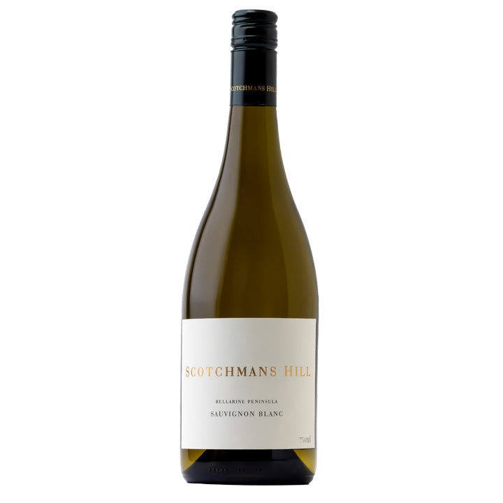 2024 Scotchmans Hill Sauvignon Blanc