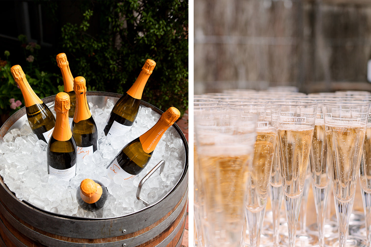 Bottles of Scotchmans Hill sparkling wine on ice with glasses ready for serving at the Bellarine Peninsula winery.