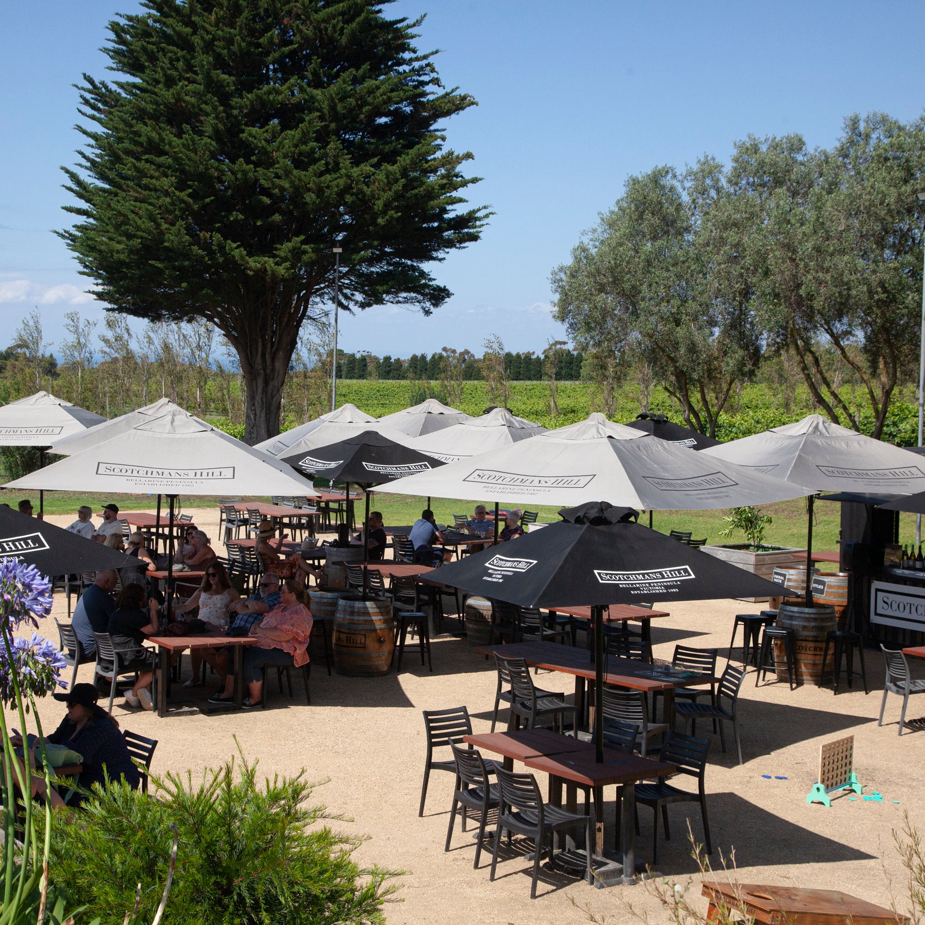 Wine Terrace & Garden