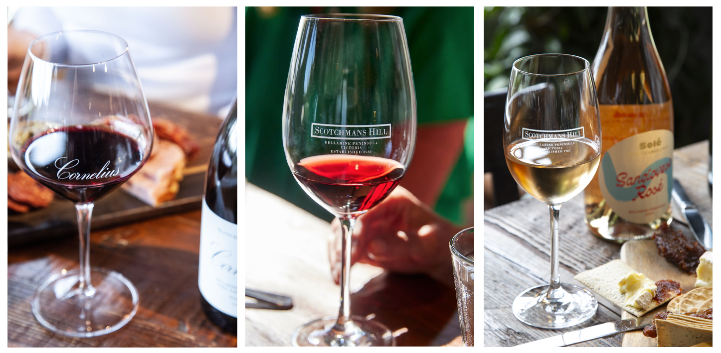 Scotchmans Hill cellar door wine tasting with cheese board