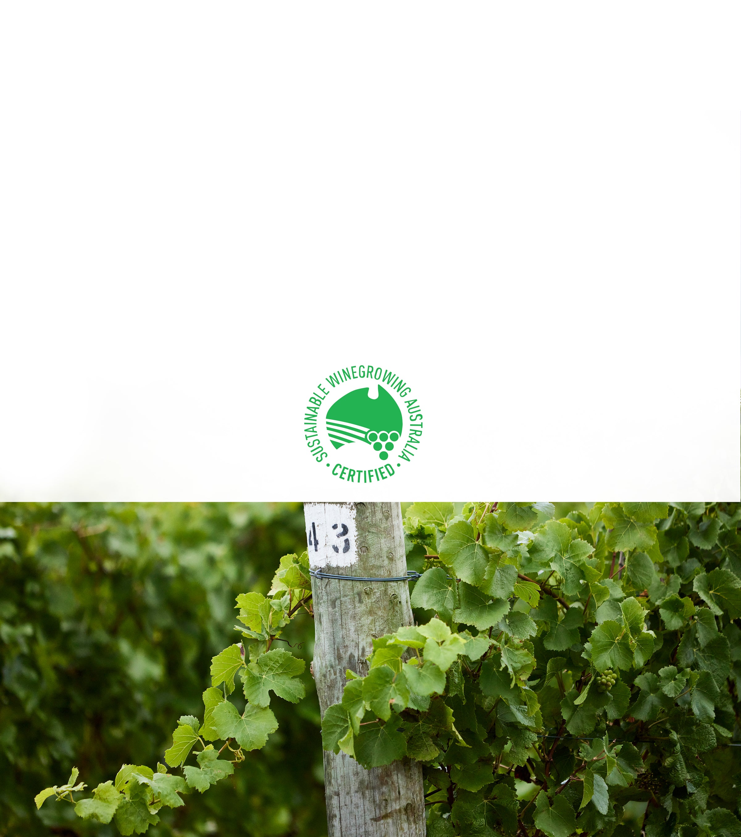Vineyard with a Sustainable Winegrowing Australia Certified logo